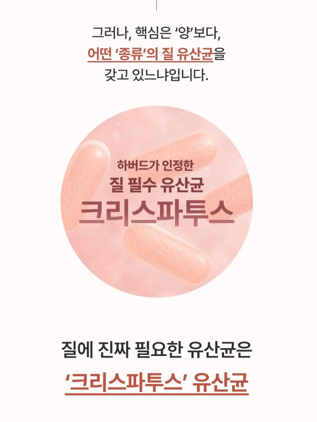 Andyou x Ginajung 맥시 스커트 11