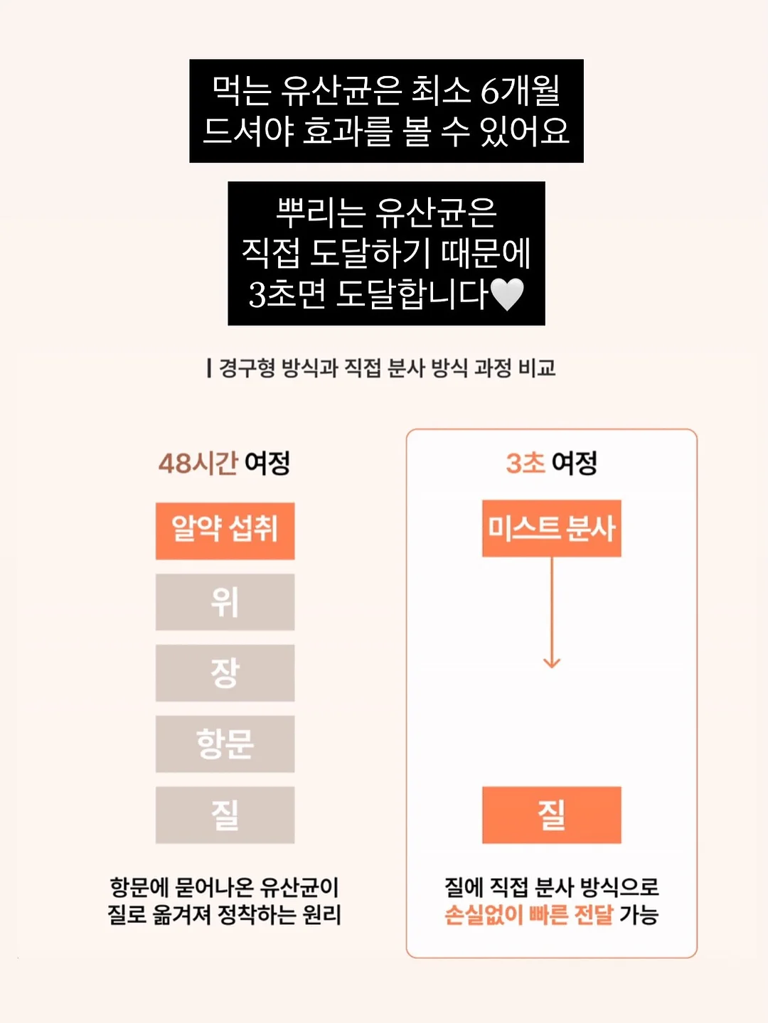 Andyou x Ginajung 맥시 스커트 8