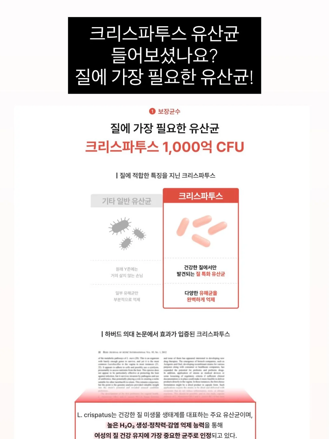 Andyou x Ginajung 맥시 스커트 10