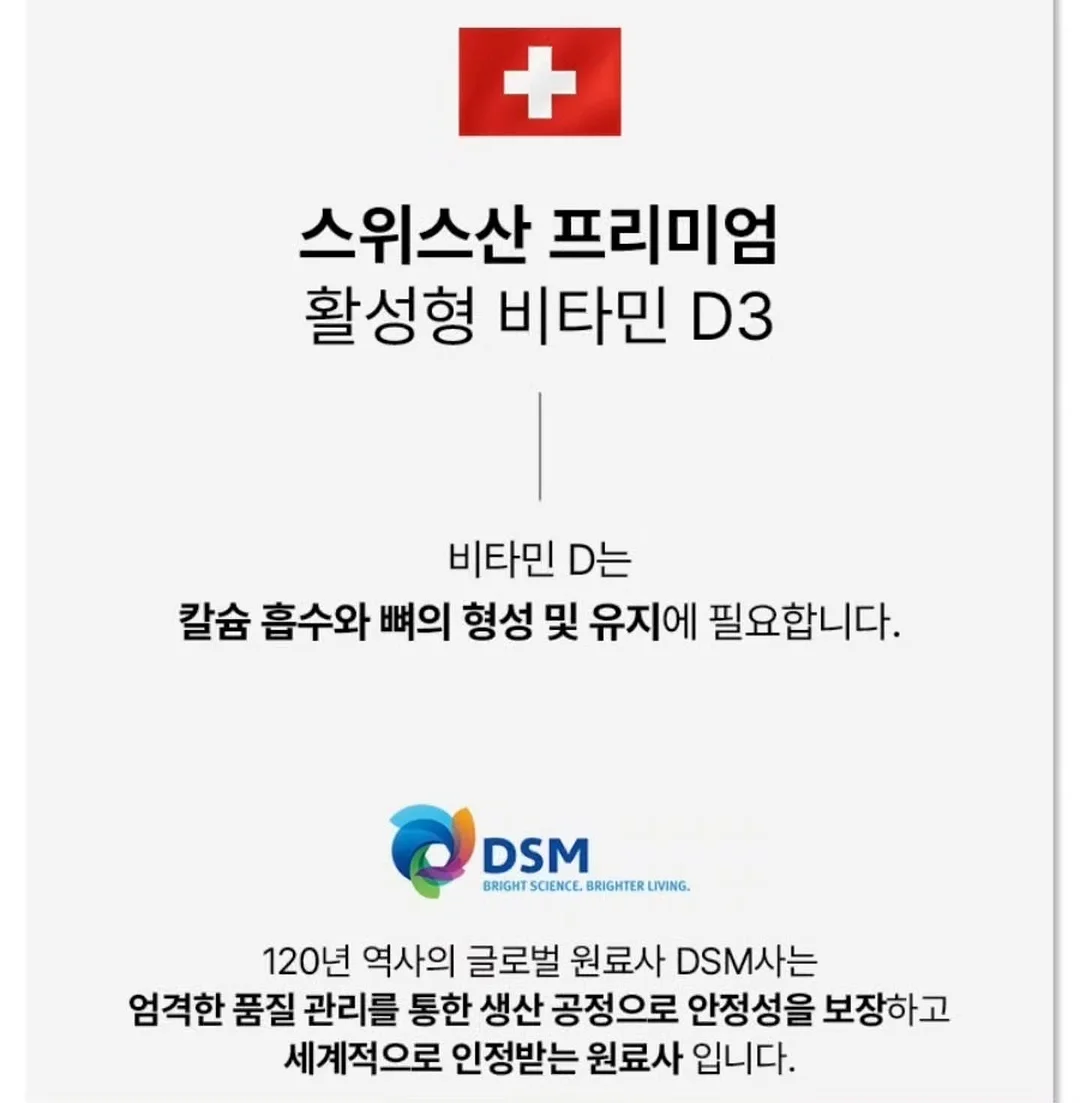 홀리데이세트 9