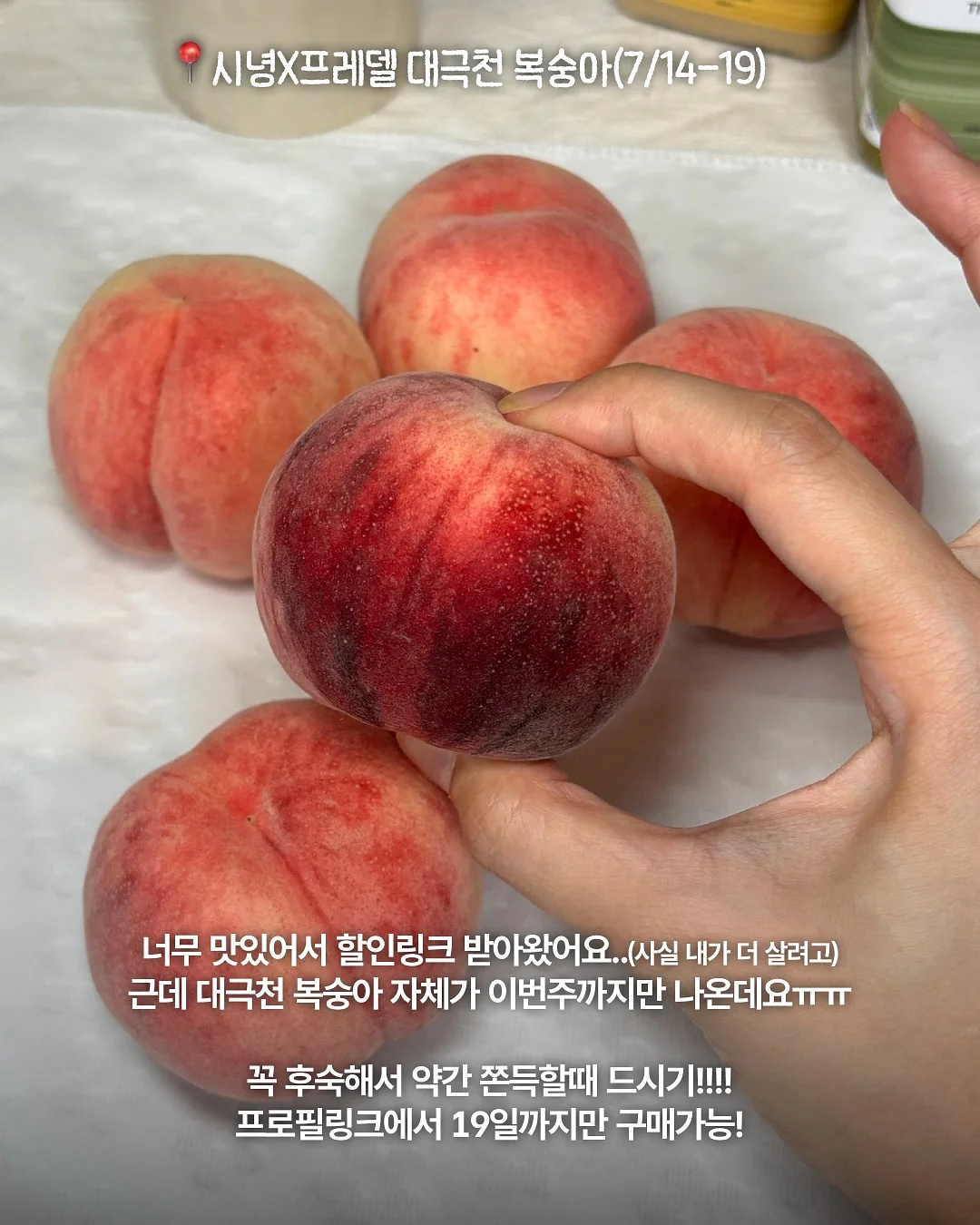 라운드파우치 M 12