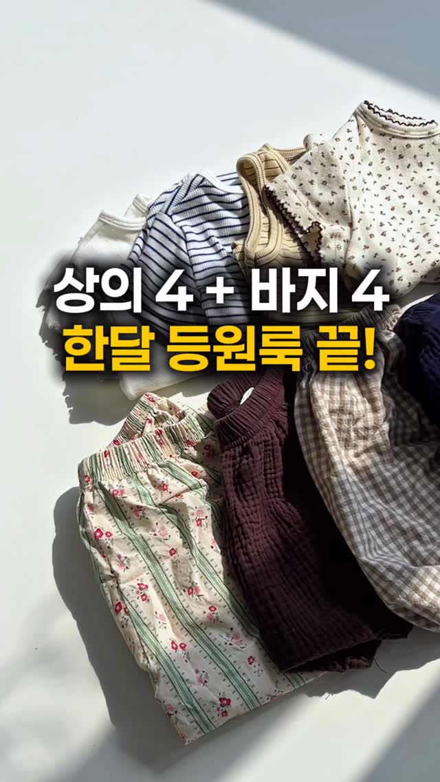 무지개망고 블루베리 골드키위 치즈케이크