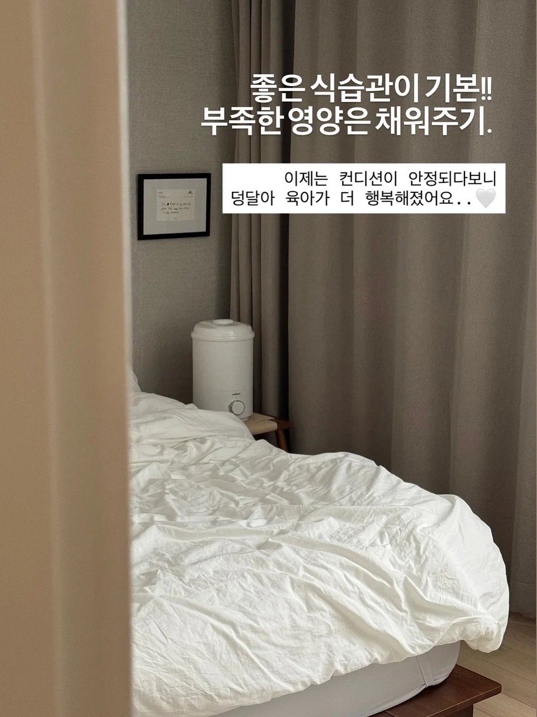 아프로디테 투피스 16