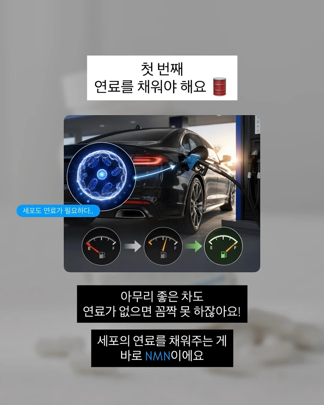 순살아구찜 5