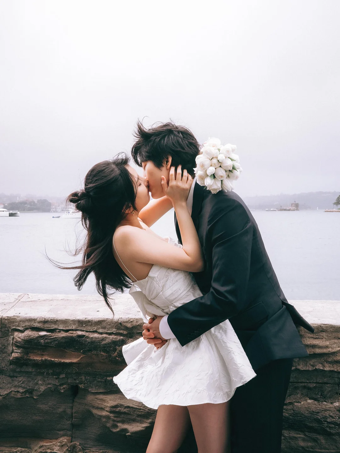 반려견 용품 6