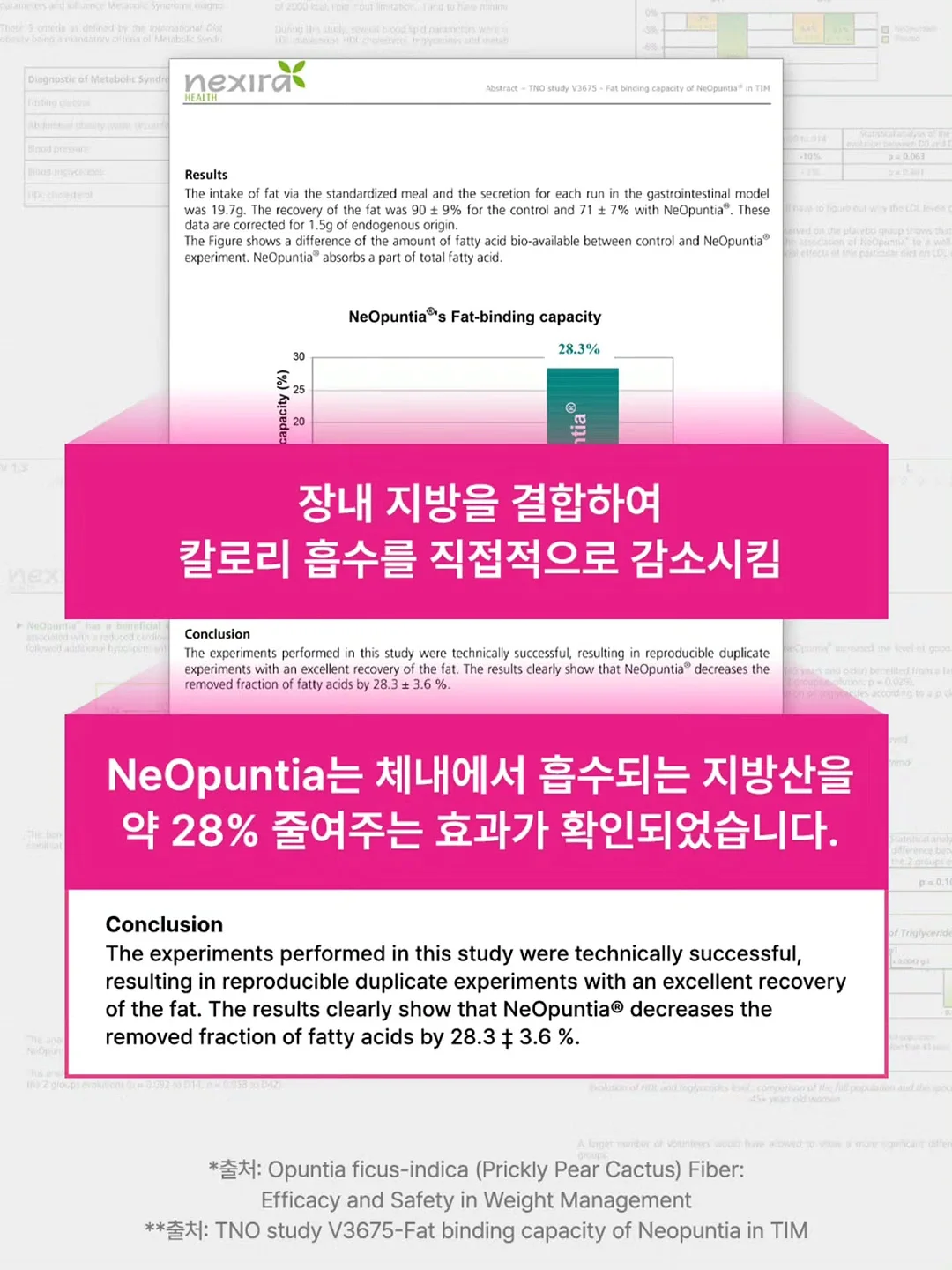 샌드위치 4