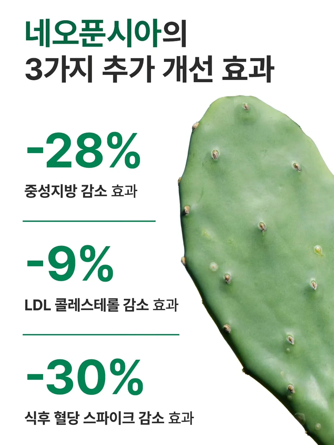 샌드위치 5