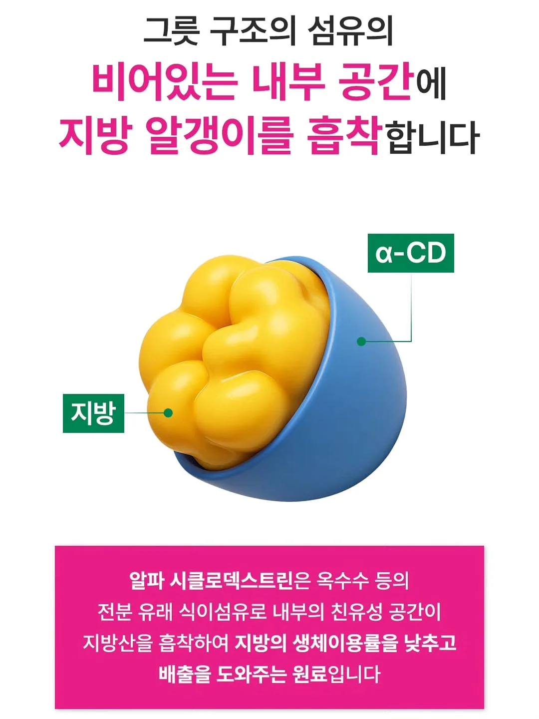 샌드위치 6