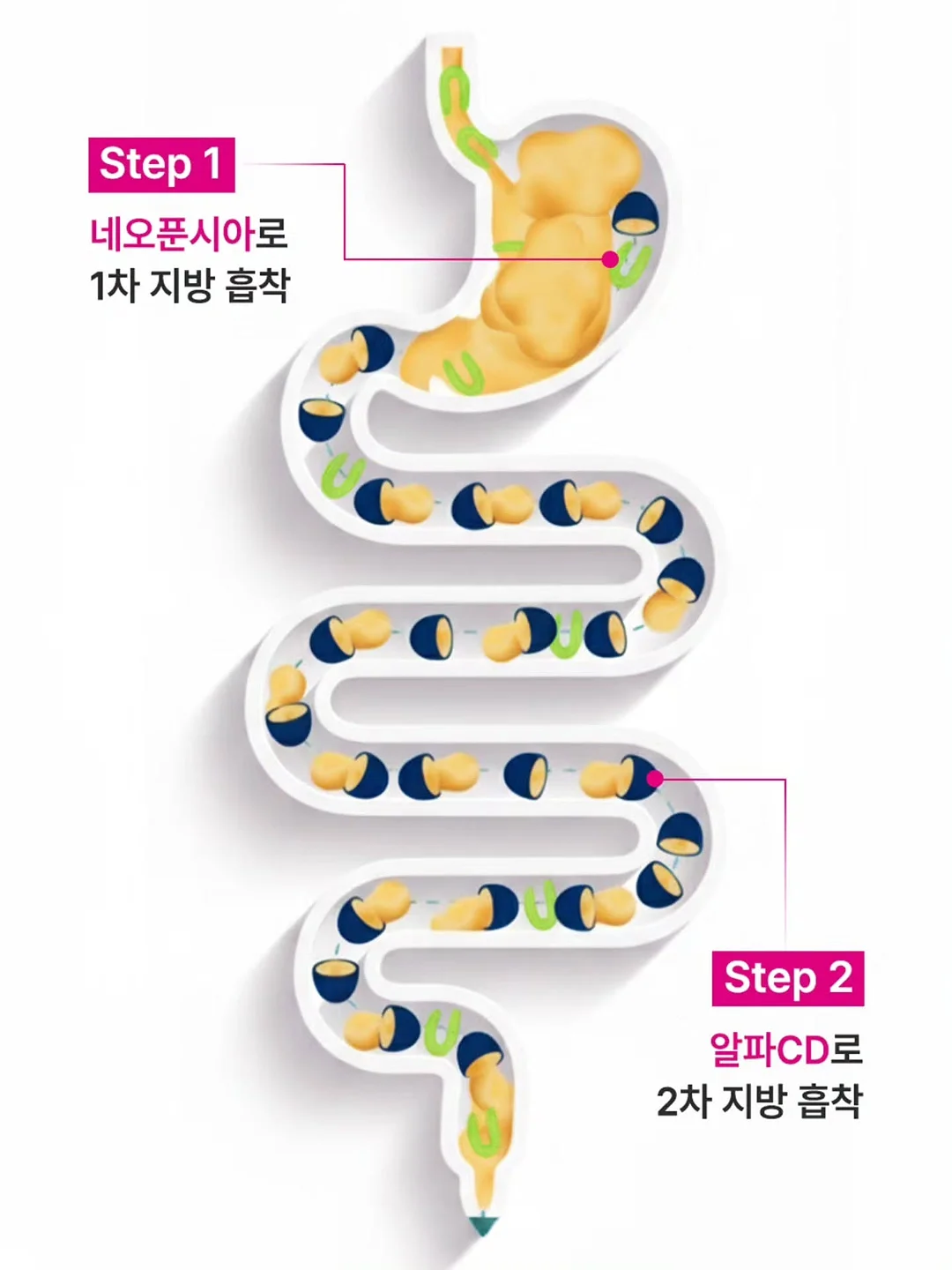샌드위치 8