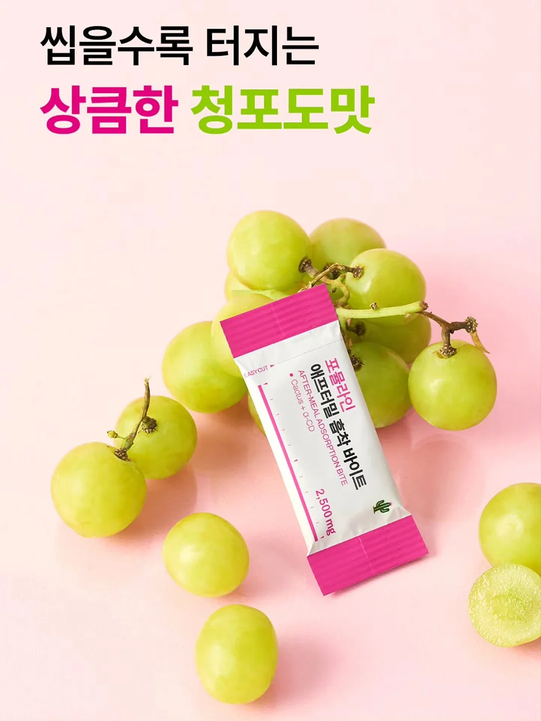 샌드위치 9