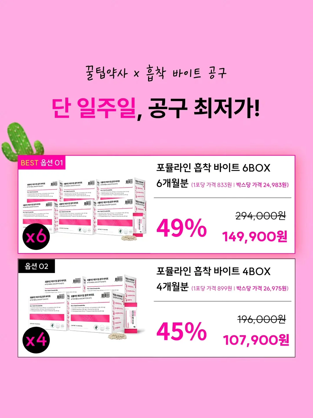 샌드위치 10