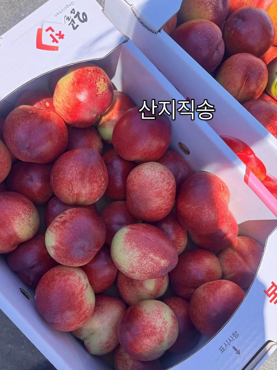 영상 속 제품 5