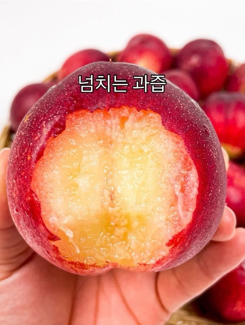 영상 속 제품 6