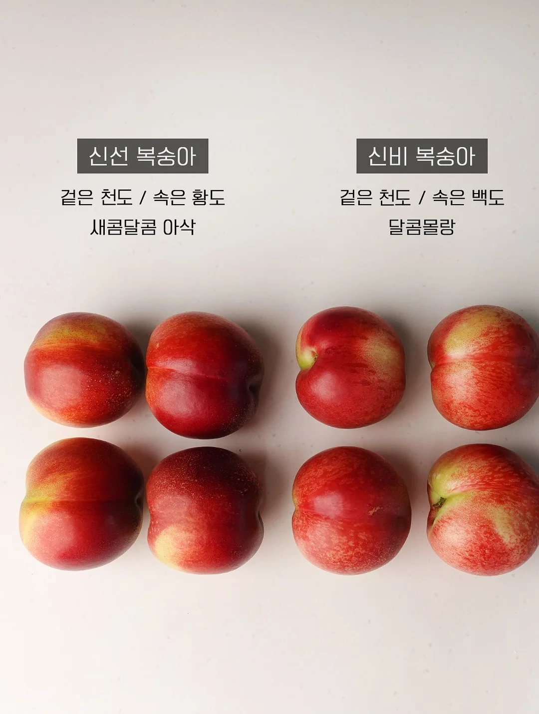 영상 속 제품 9