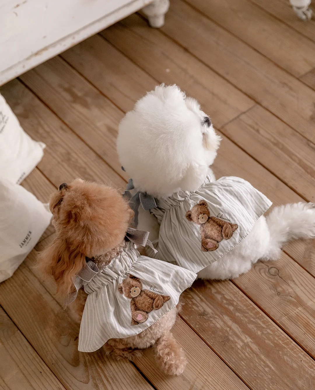 윤샘의 고양이 상담소 2
