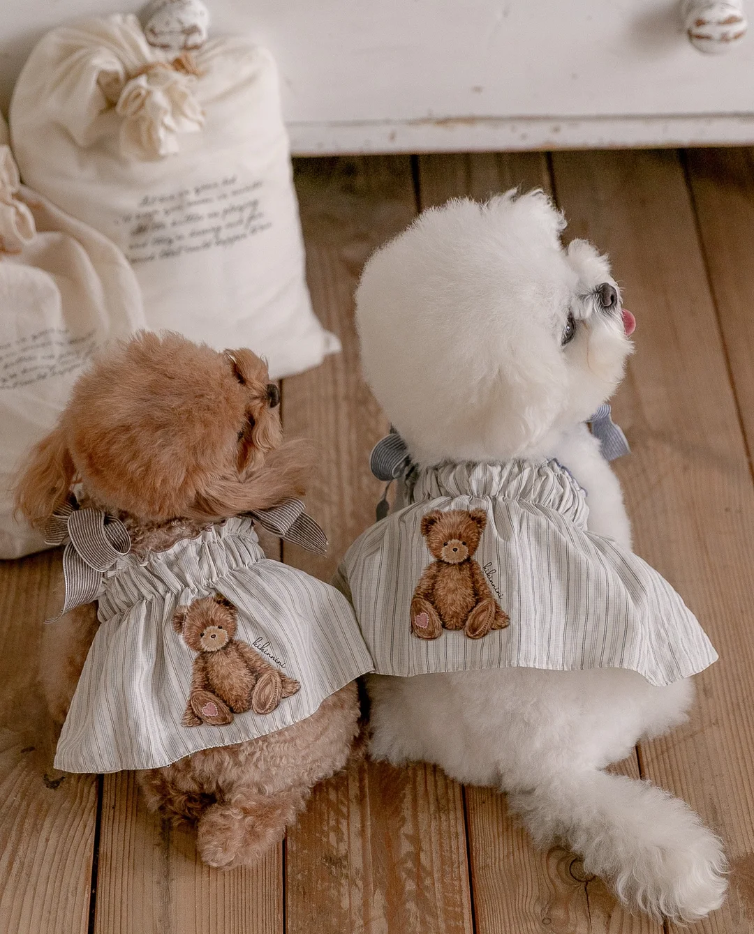 윤샘의 고양이 상담소 3