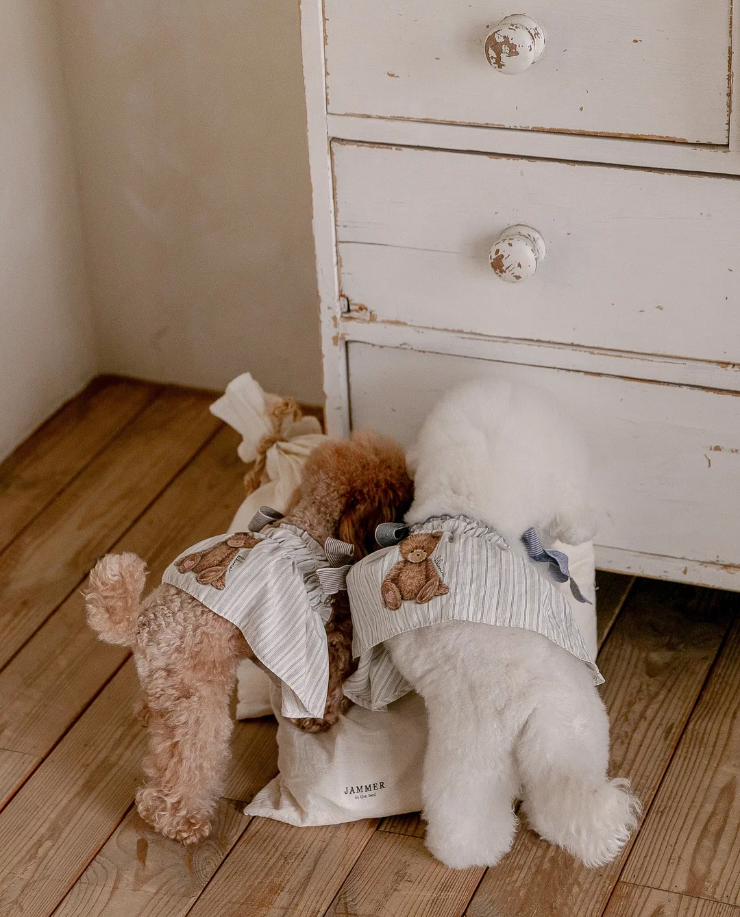 윤샘의 고양이 상담소 4