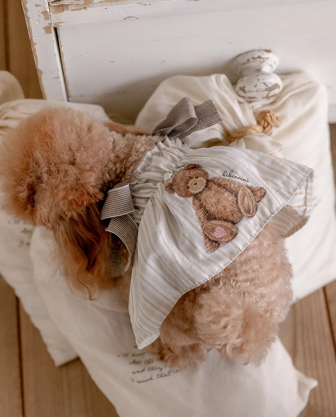 윤샘의 고양이 상담소 5