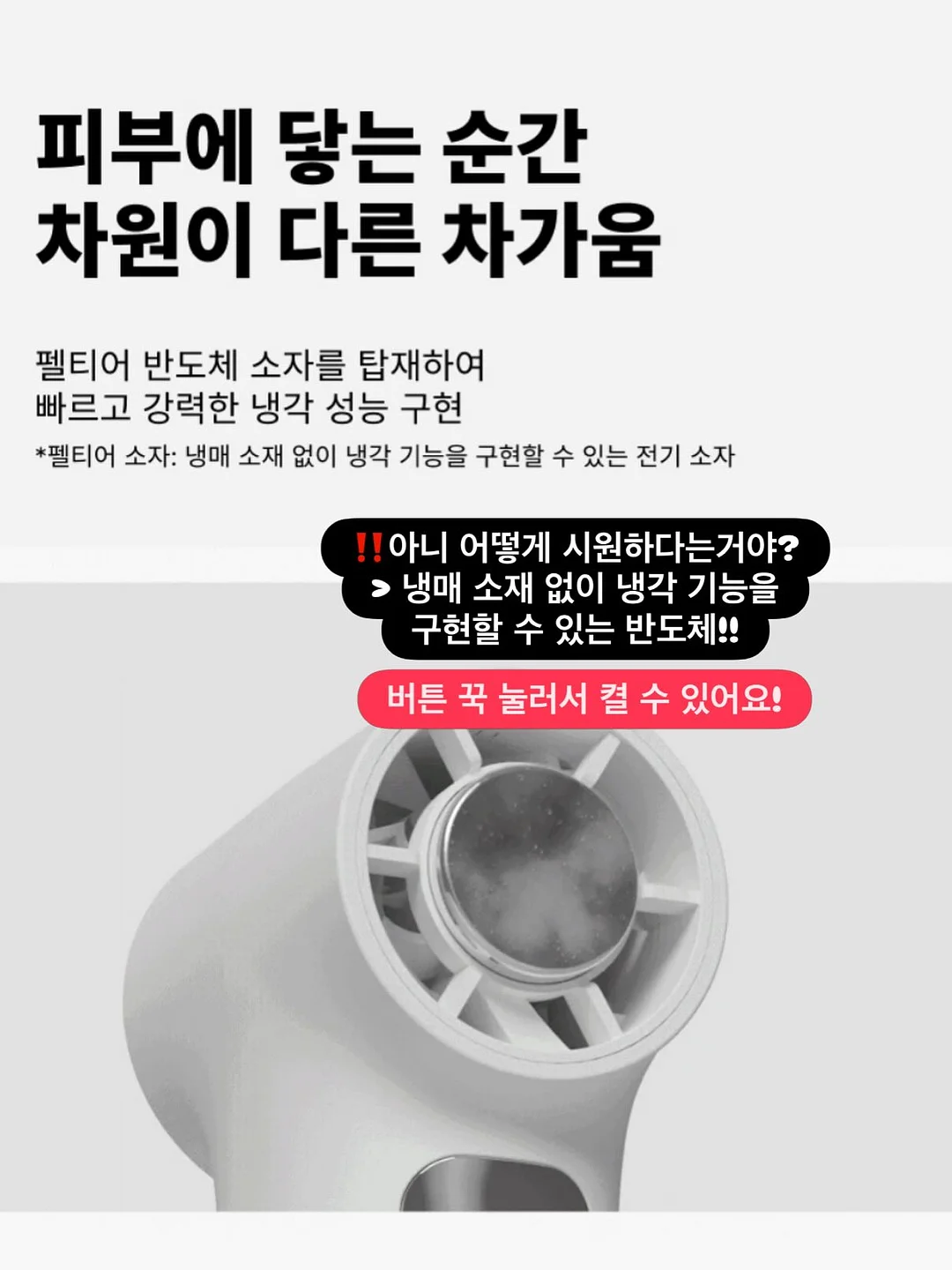 디얼러브 롤케이크 6