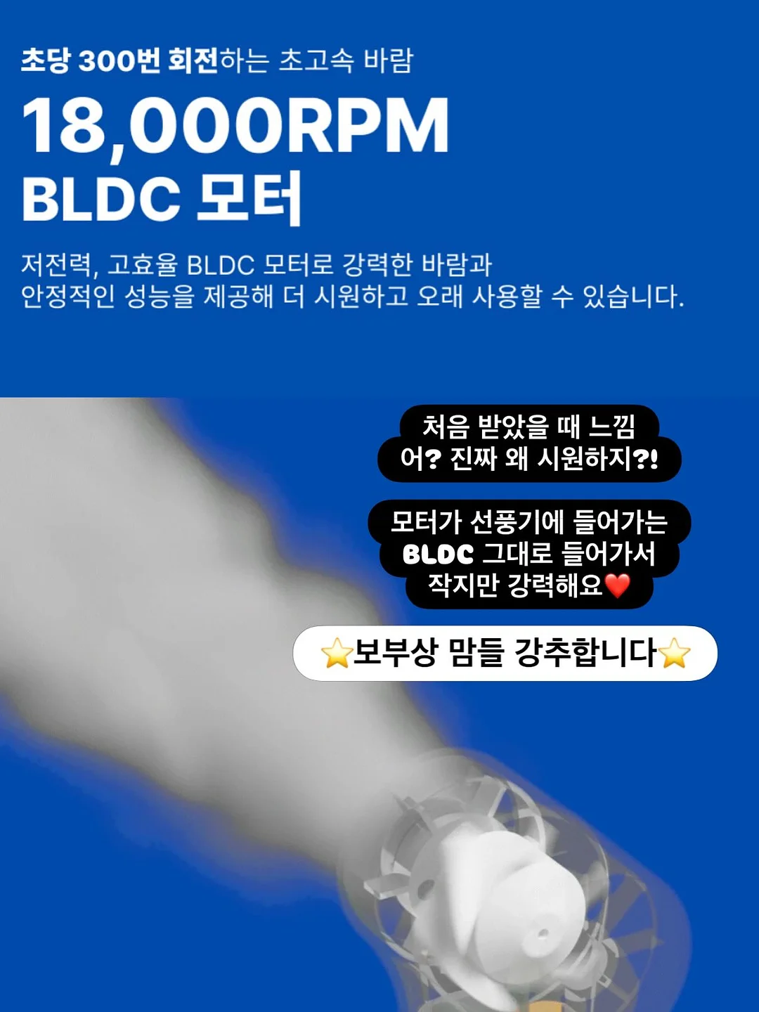 디얼러브 롤케이크 9
