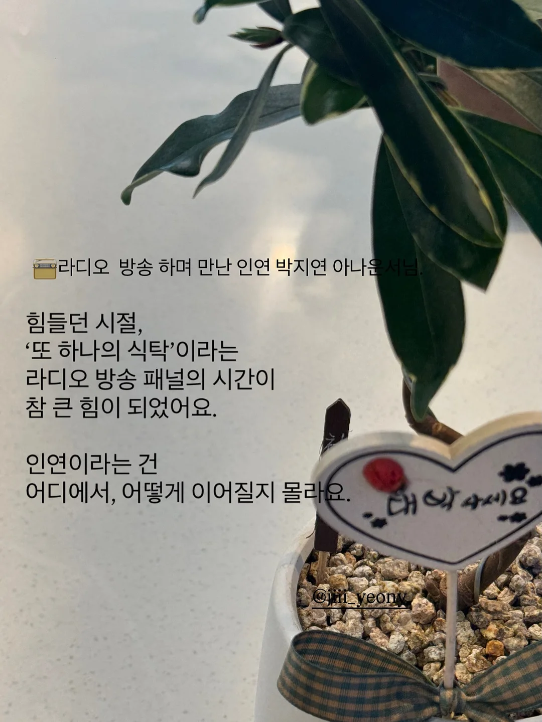 유안맘마 5월 공구 17