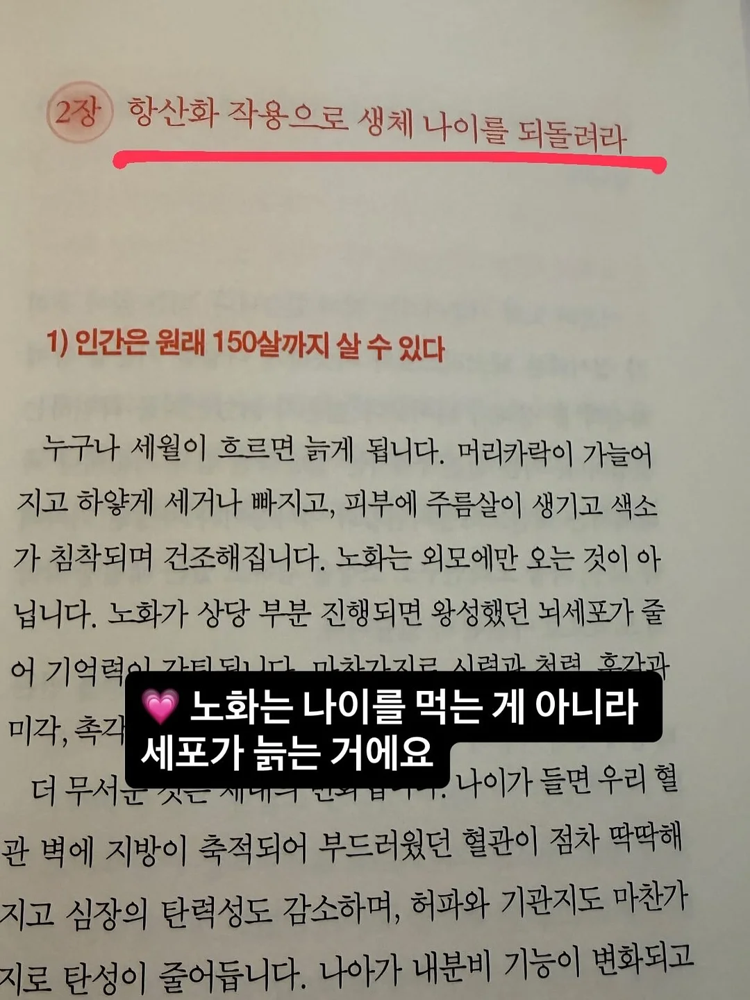 UZURII 쪼리 9