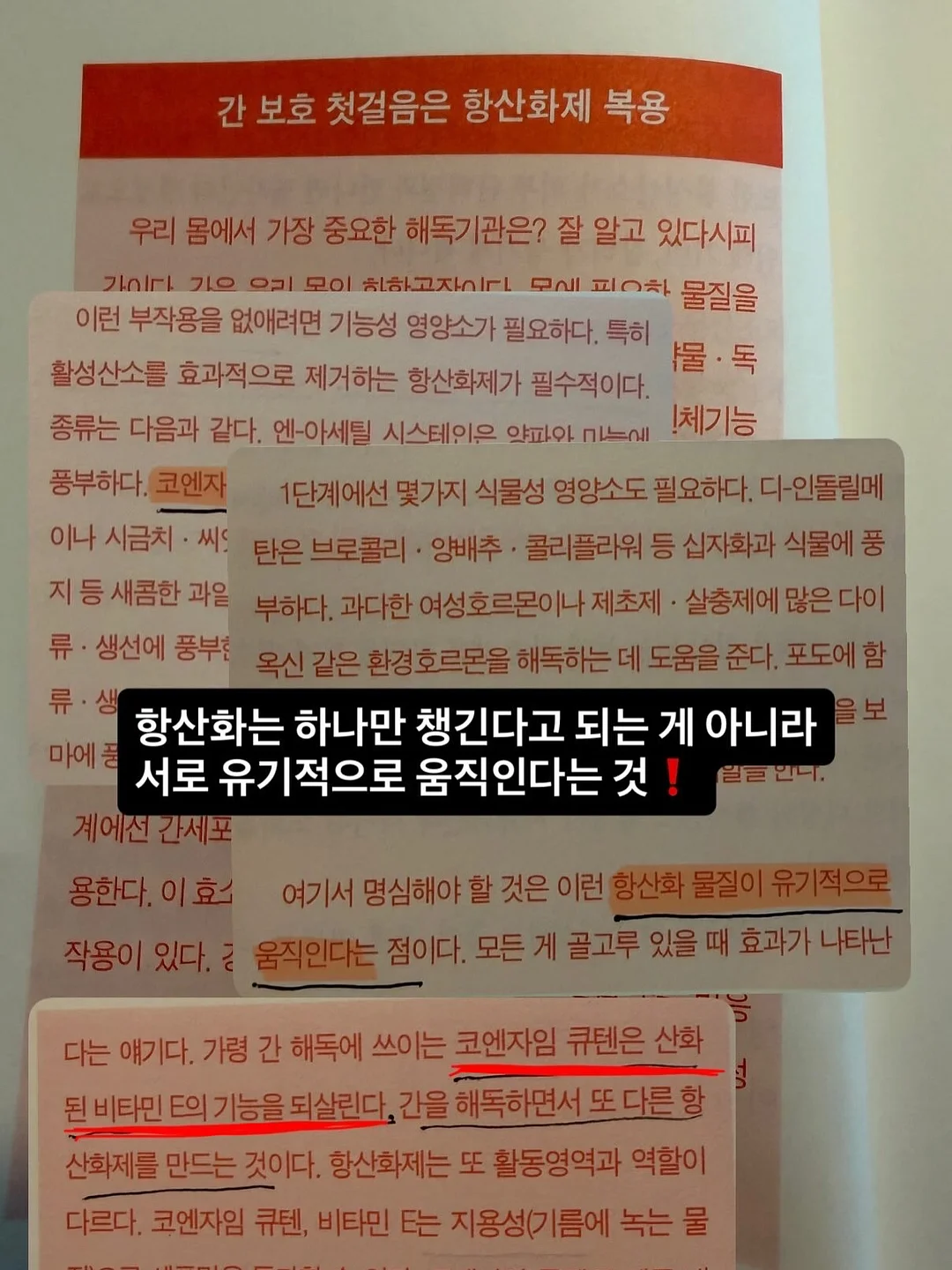 UZURII 쪼리 10