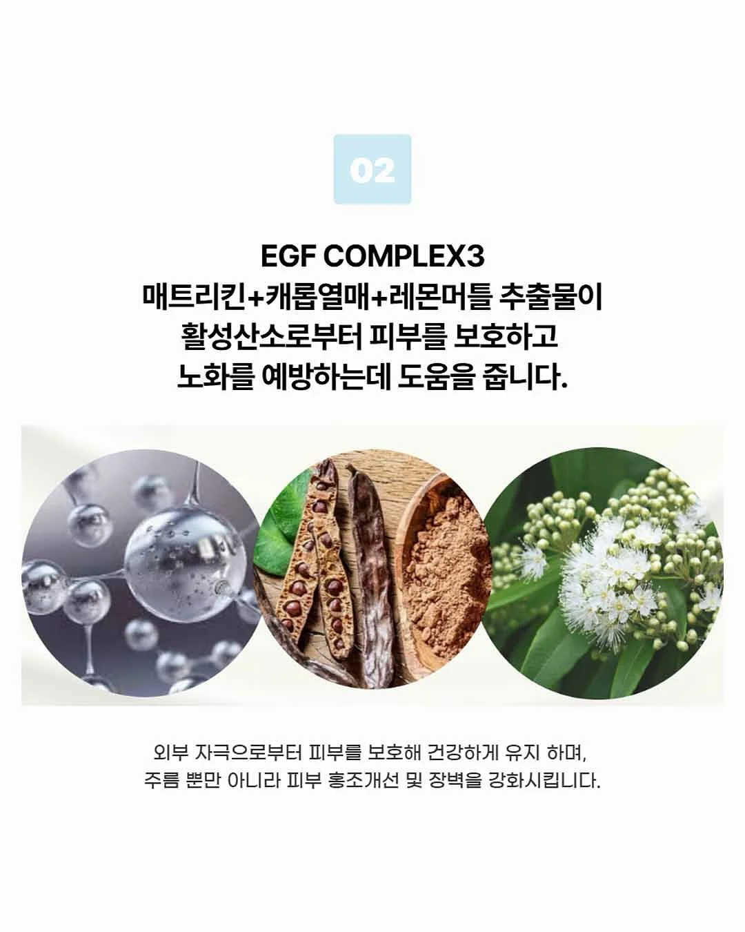 비비엔다 아이스러쉬 냉감 블랭킷 12