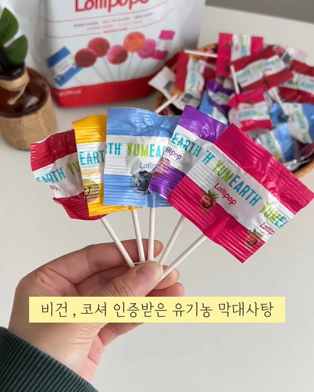 우산겸 양산 3
