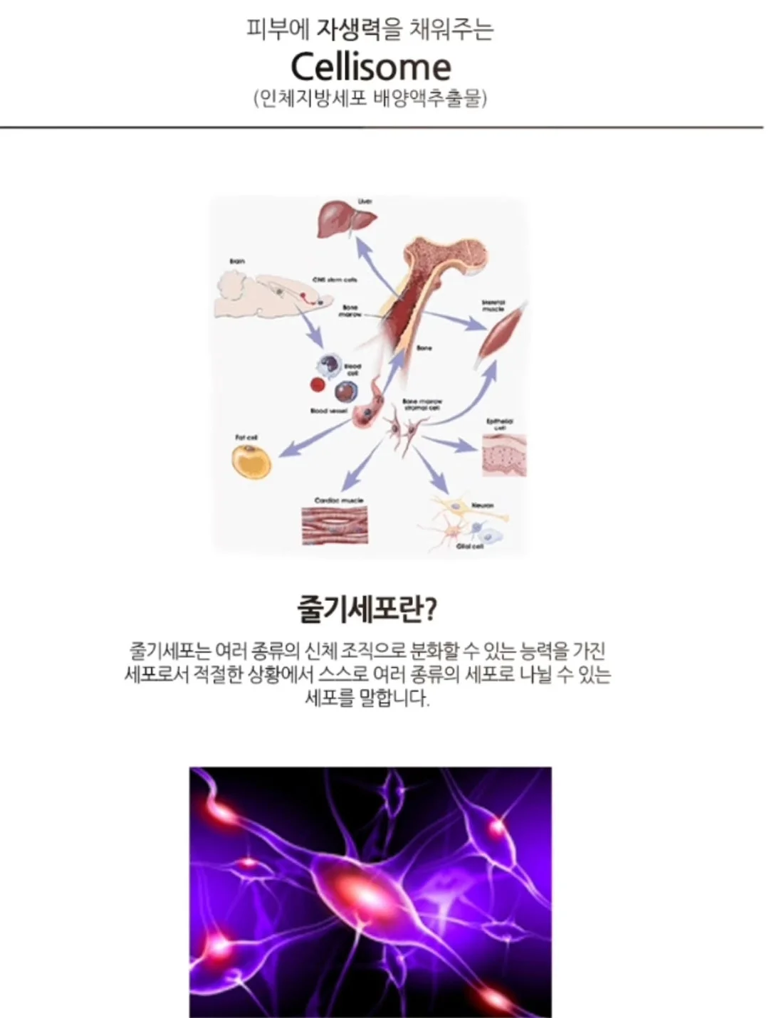 손목지켜템 10