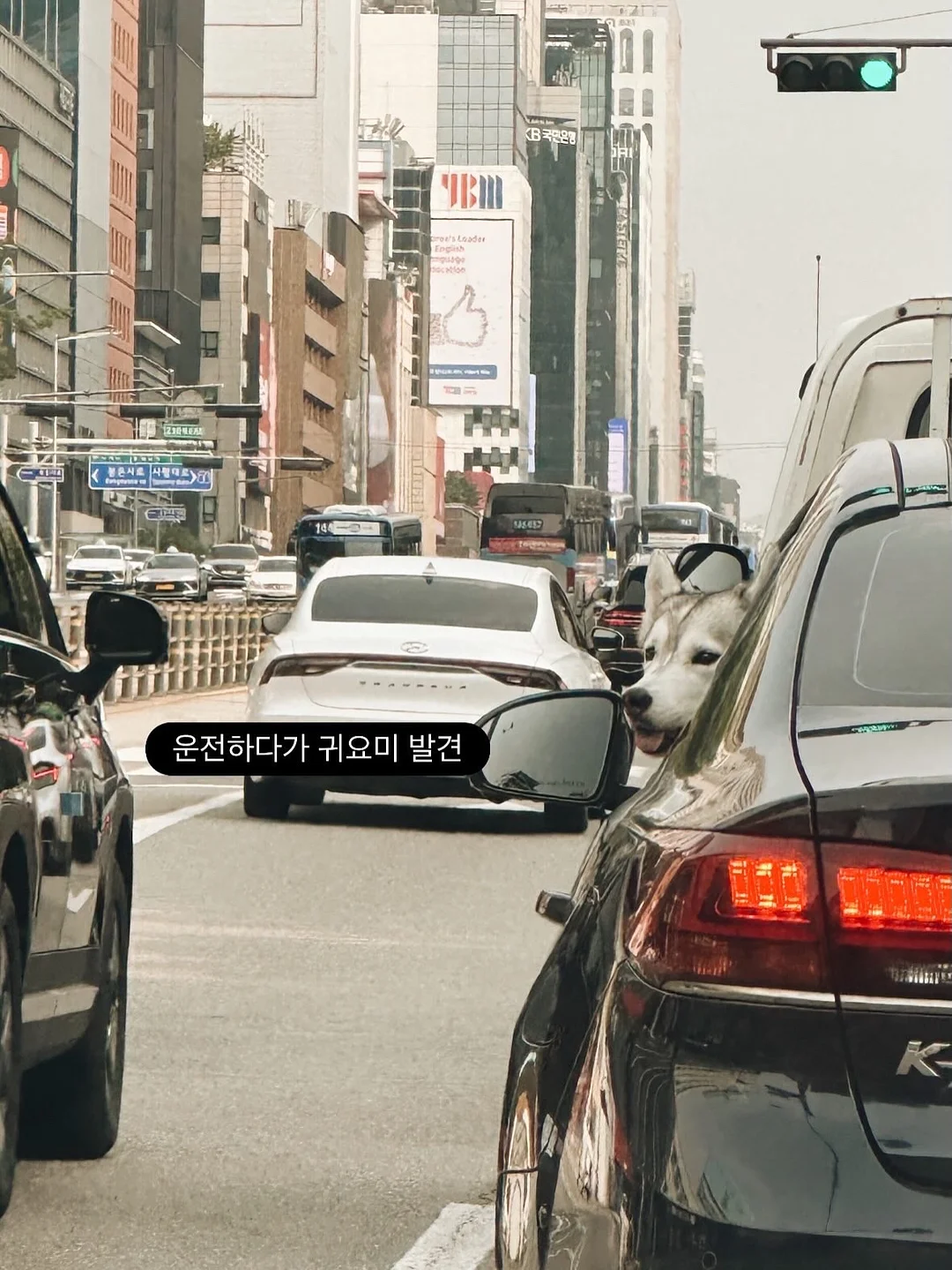 포켓 부아르 백 4