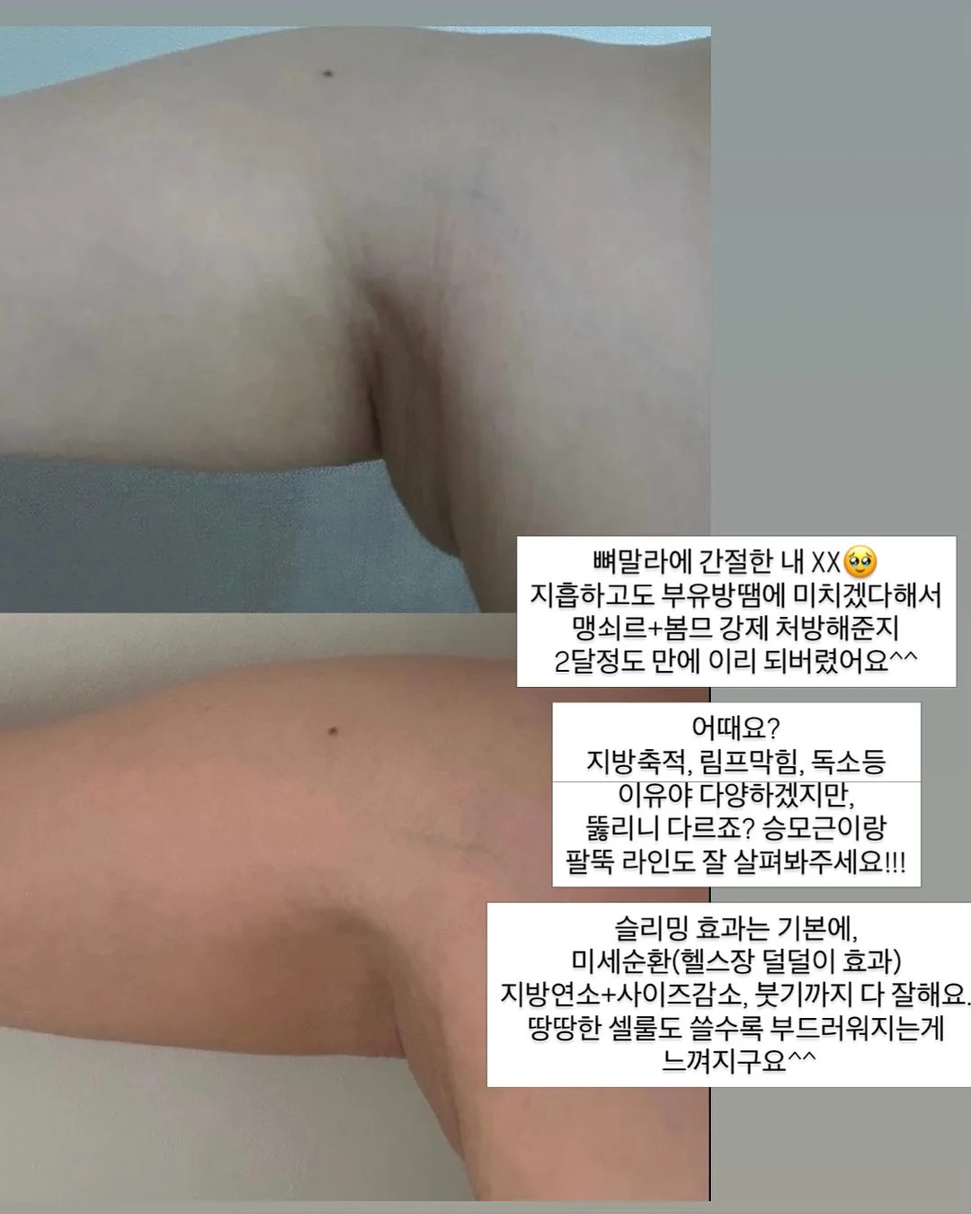 가정교사 히트맨 리본 withCAT 파우치 1