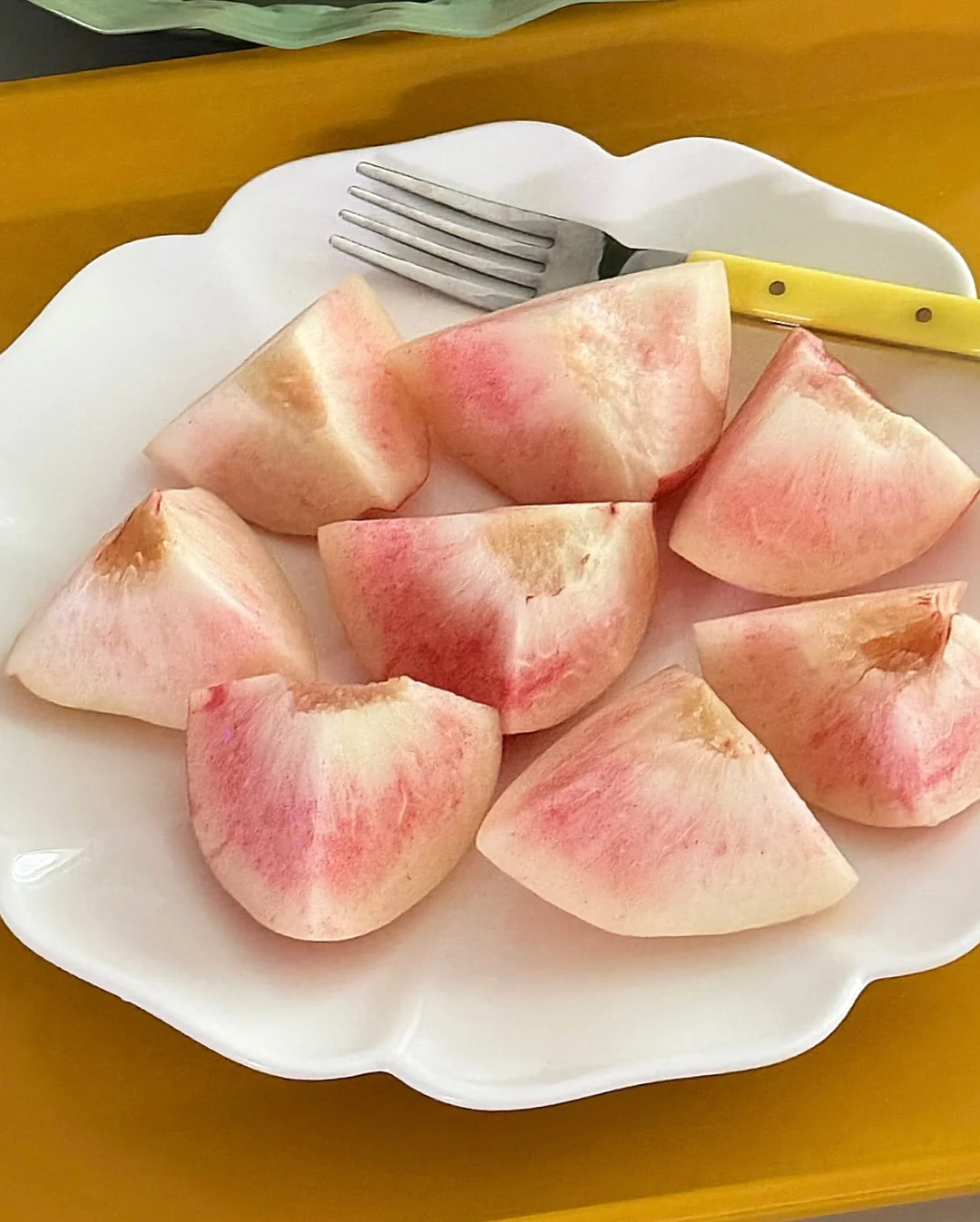 베리롯드 18