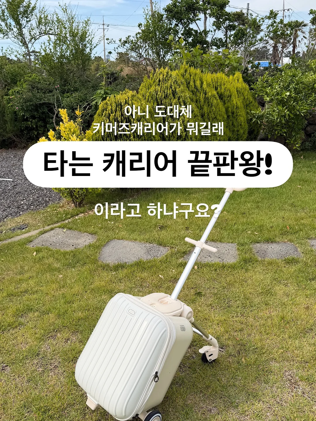 차량용 컵홀더 2