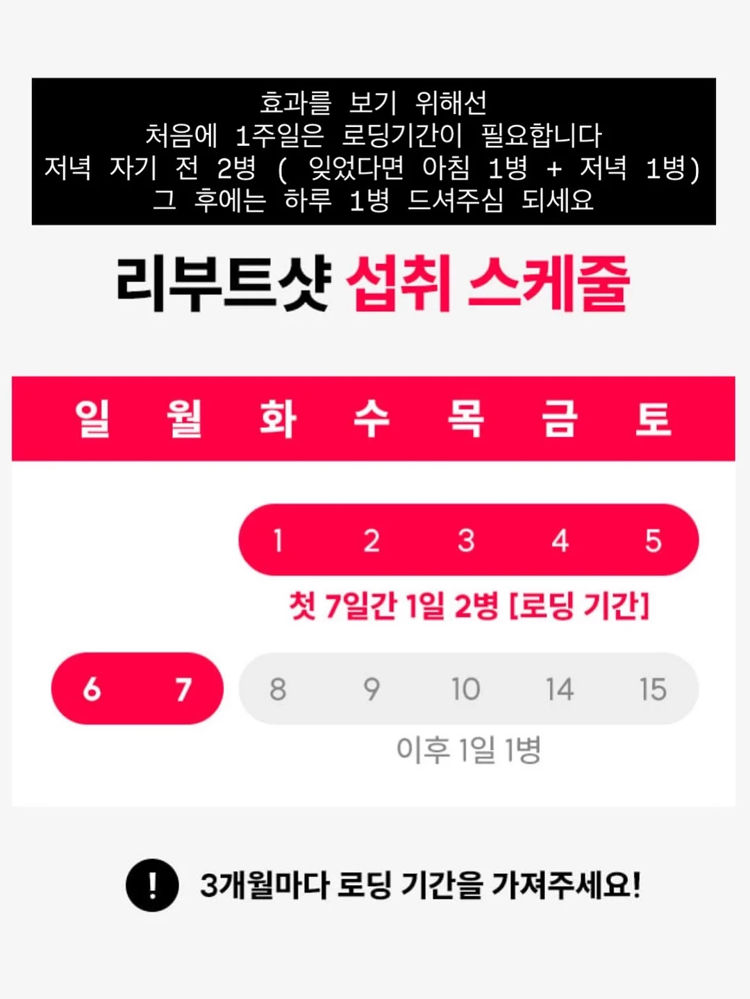 Magic Tree House 21권~28권 스터디 3