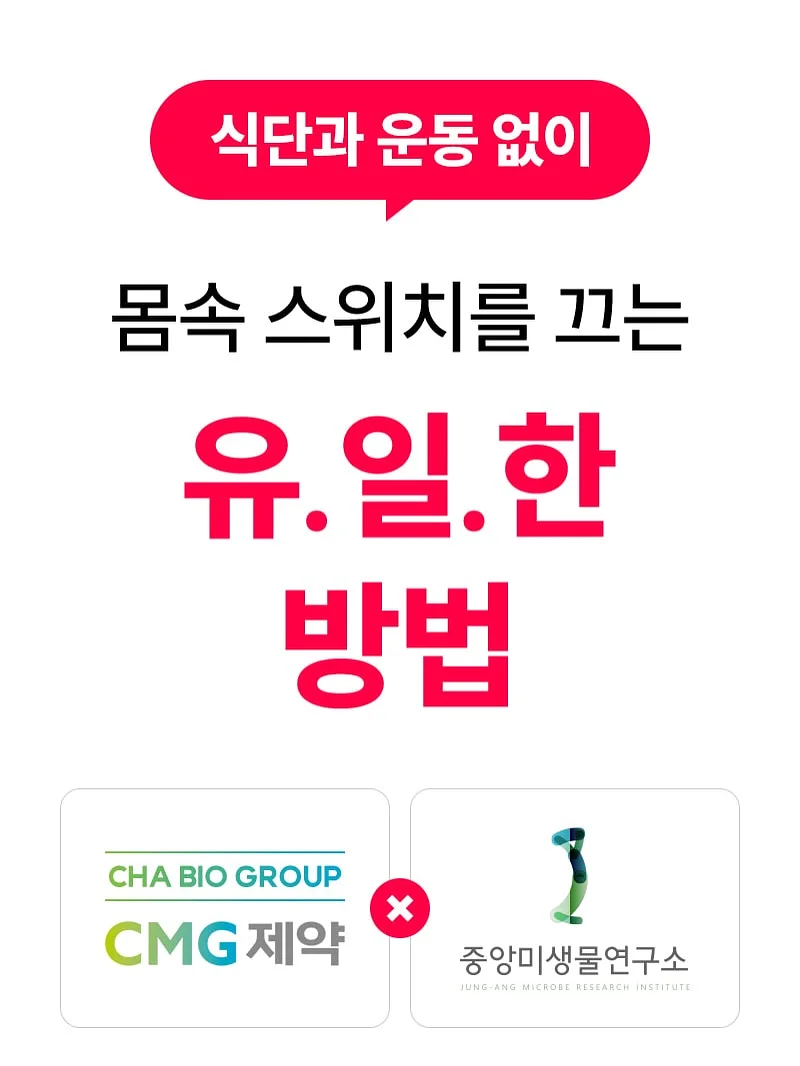Magic Tree House 21권~28권 스터디 5