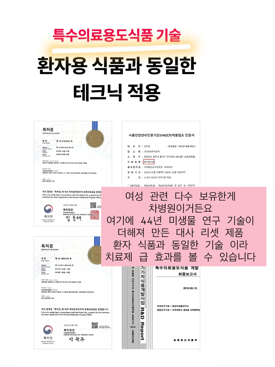Magic Tree House 21권~28권 스터디 6