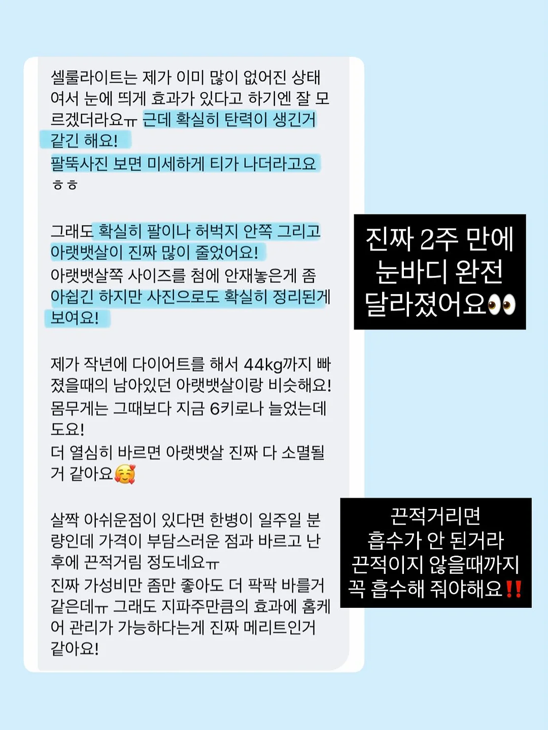 모아나 배경화면 15