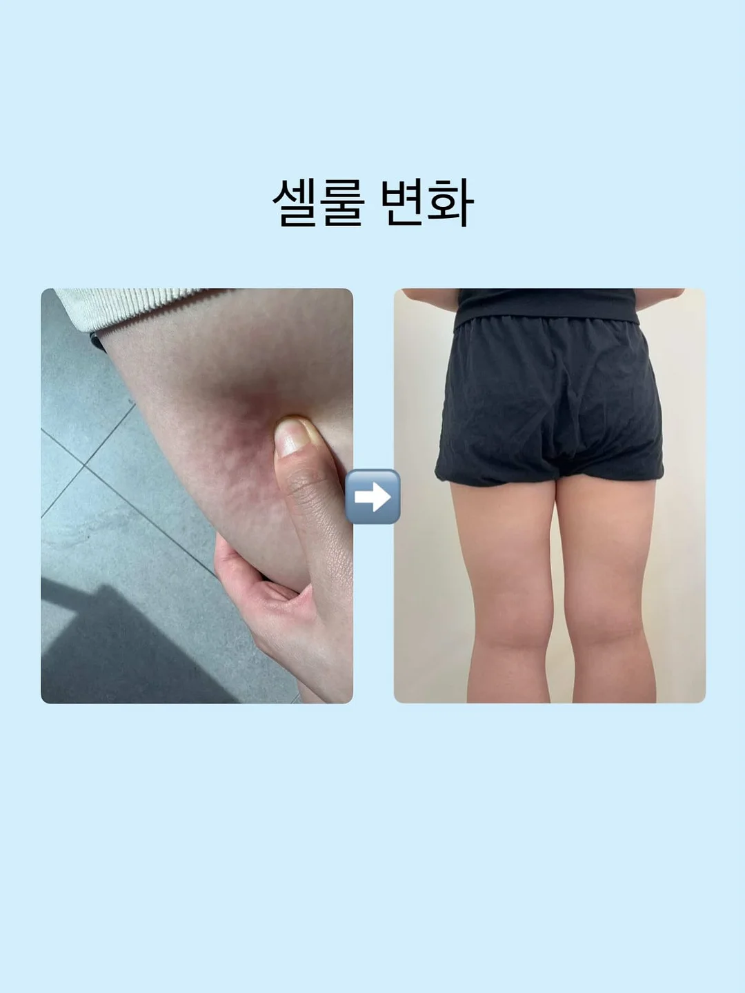 모아나 배경화면 8