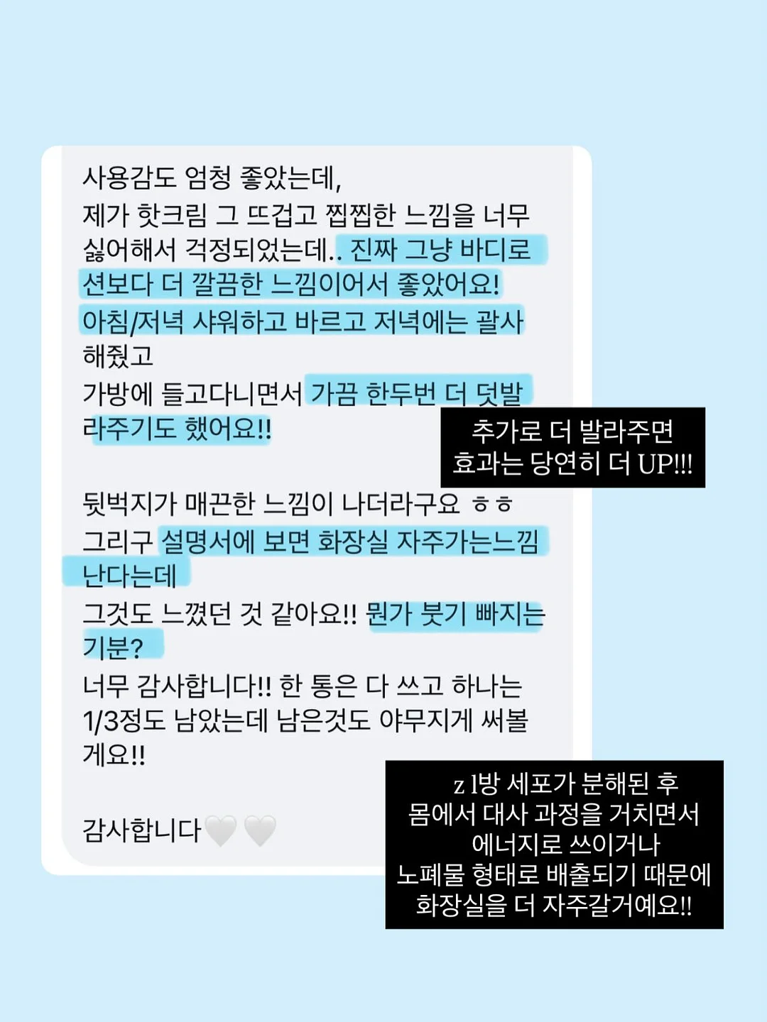 모아나 배경화면 10