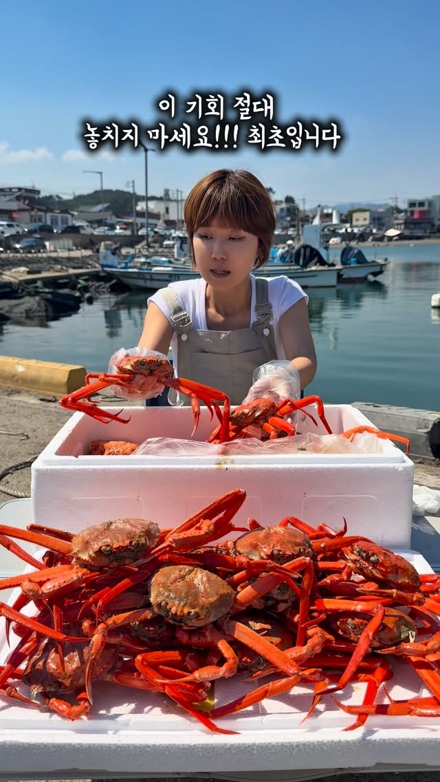 디올 티셔츠