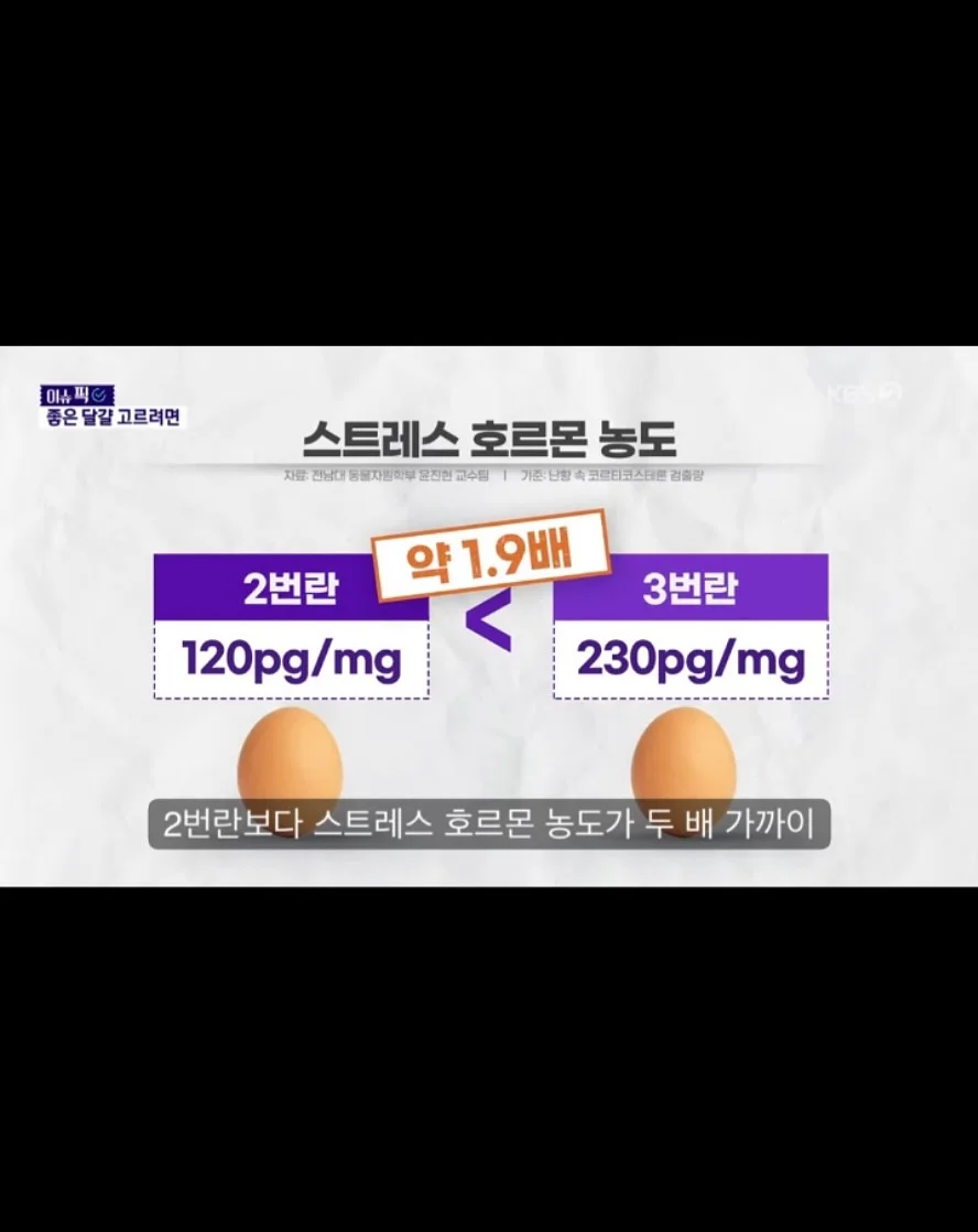 에르고 냉감패드&이불 6