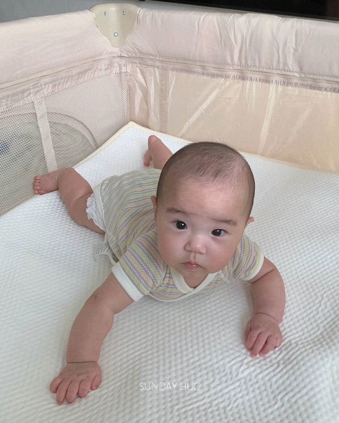 자체픽 스토어 1