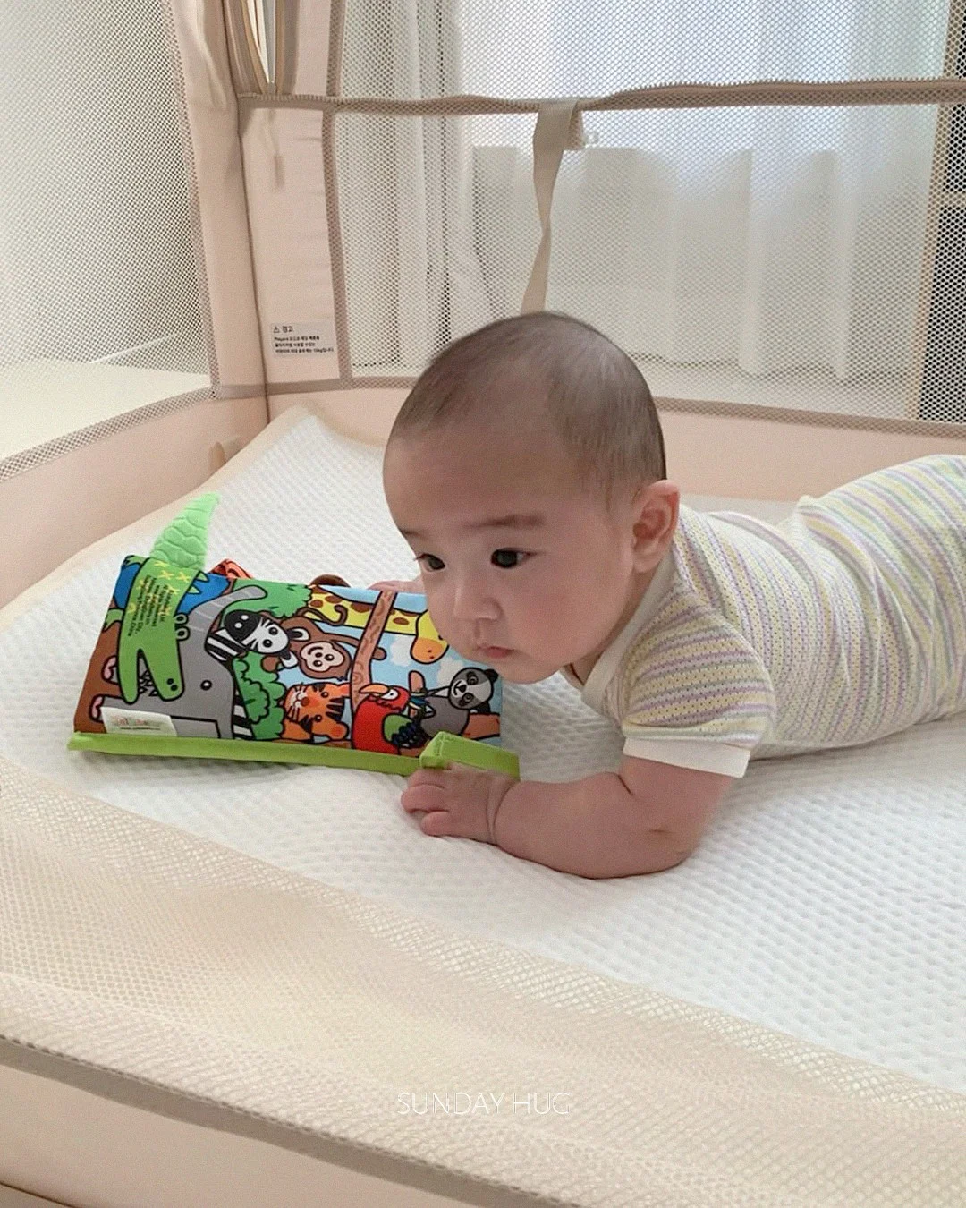 자체픽 스토어 4