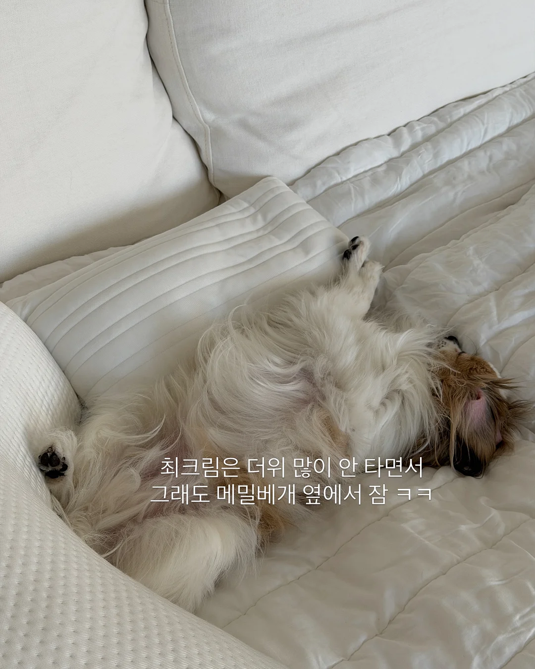 3D 이미지 프롬프트 6