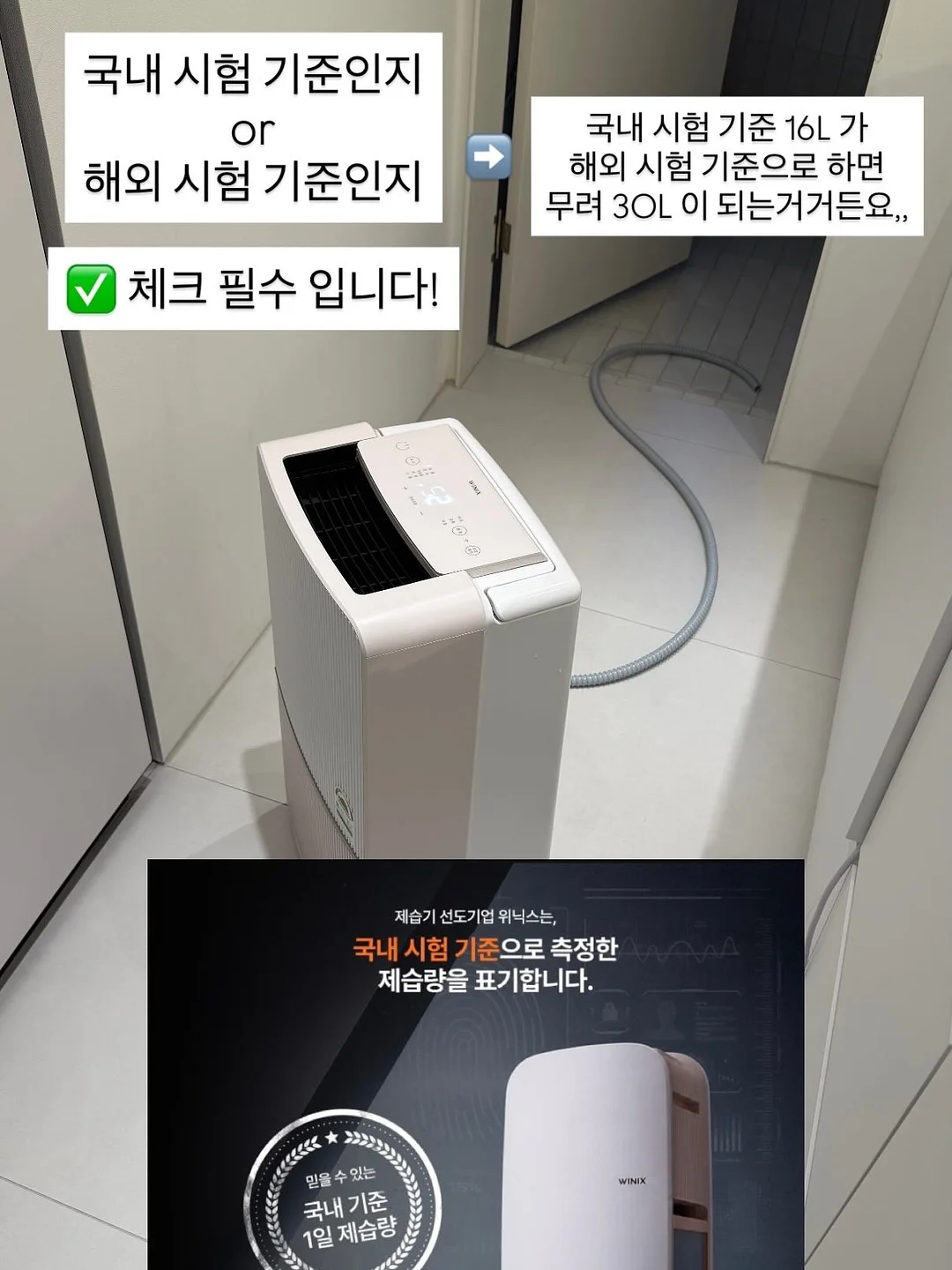 숙취엔 벌나무 듀얼 플러스 2