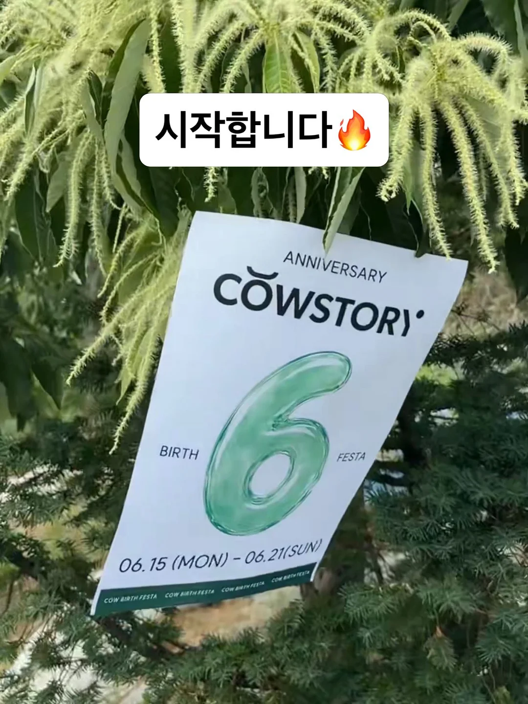 다엘 1