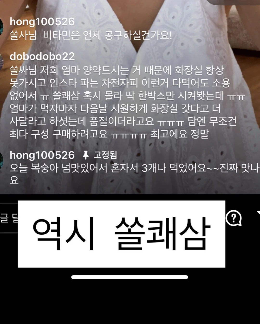 류이서 가방 5