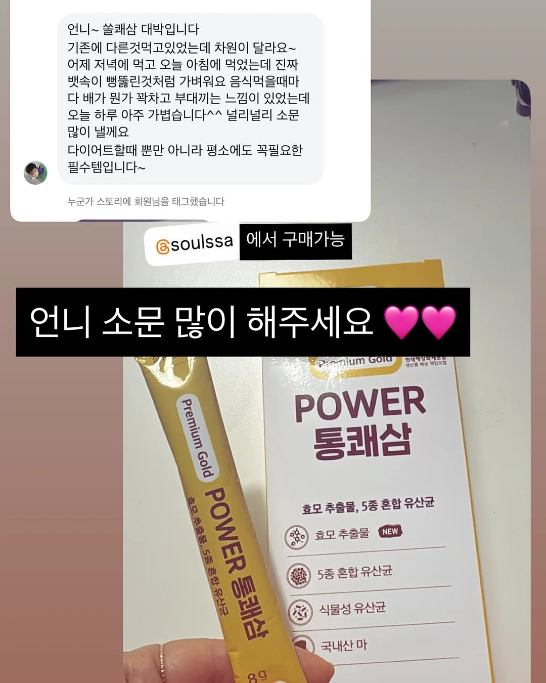 류이서 가방 10