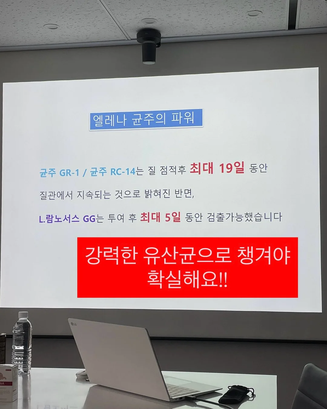 도트 원피스 6